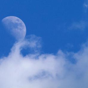 ����: ����