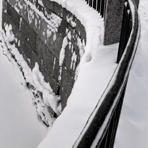 ���� ��������: ����� ����������