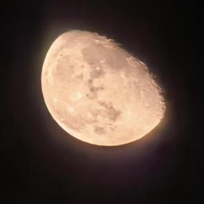 ����: ��������� ����