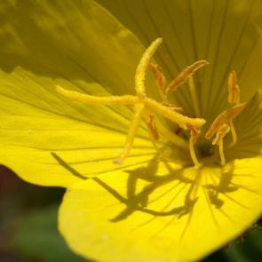 ����: ������� � ������