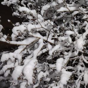 ����: ������ � ����� 