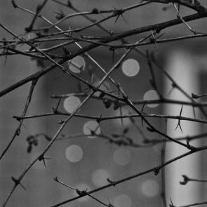 ���� ��������: 