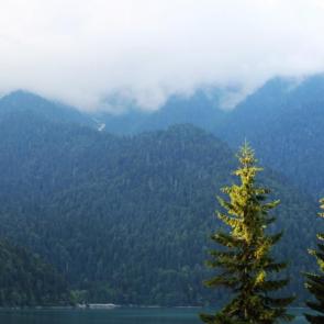 ���� ��������: �������