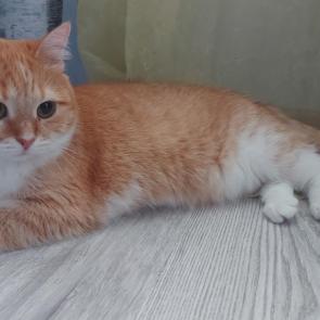 �� ����� �����