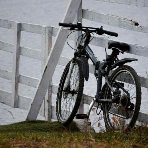 ������ ����