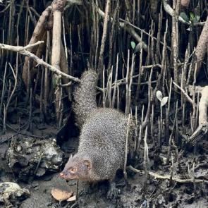 ����: ��������� �����