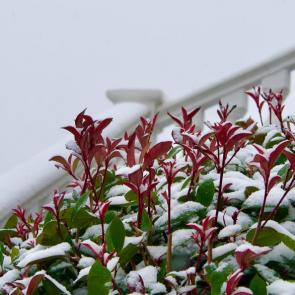 ����: �� �������