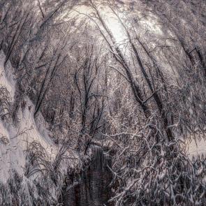 ���� ��������: �������.