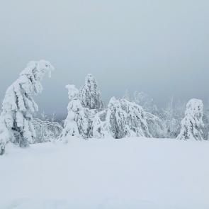 ���� ��������: ���������