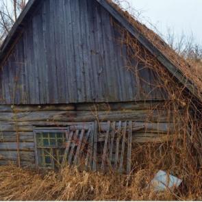 ���� ��������: ����������� ��������