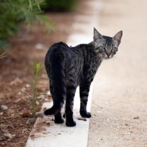 ����: �� �� ���, ������, ���� ��.