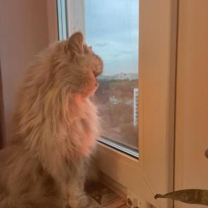 ����: ����� �� ������