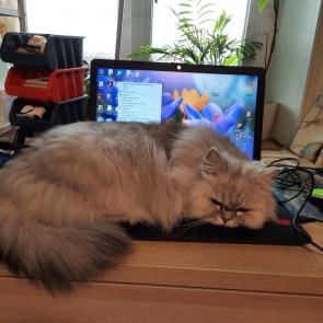 ����: �����, ������ � ���� �� ������