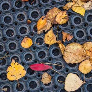 ����: ��� ������ 