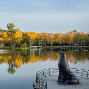 ����: ����� � ����� ����-����������