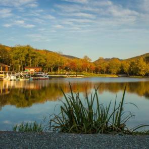 ����: ����� � ����� ����-����������