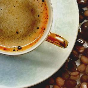 ����: ��� ����������