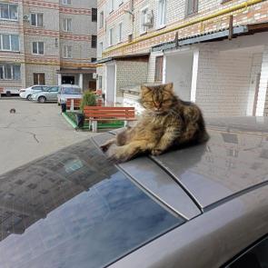 ����: �� ����� 