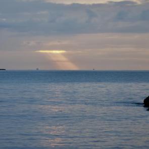 ����: ��� �����