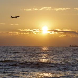 ����: �� ������