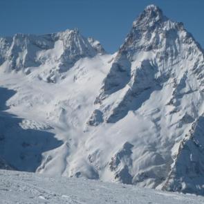 ����: ������