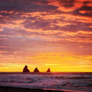 ����: ���� �������������