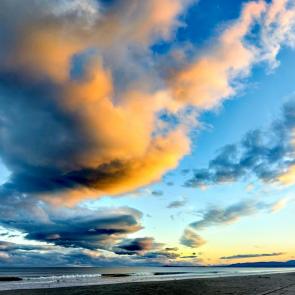 ����: �������� ����