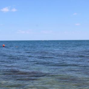 ���� ��������: 