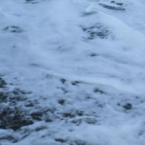 ���� ��������: 