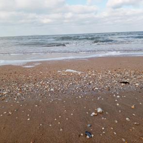 ���� ��������: ����� ���������  N4