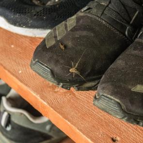 ����: ������������ ����� ��������