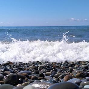 ����: ���� ����������