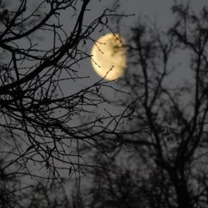 ����: ����