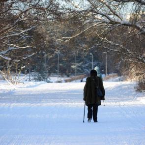 ����: �� �����