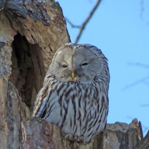 ����: ������� �������������