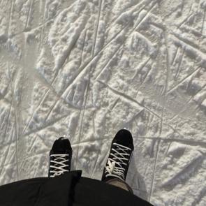 ����: ������