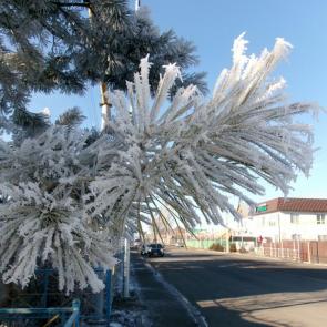 ����: ����� ����� �������� �����