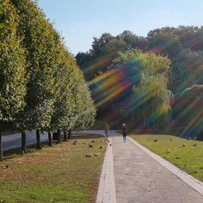 ��������� ����