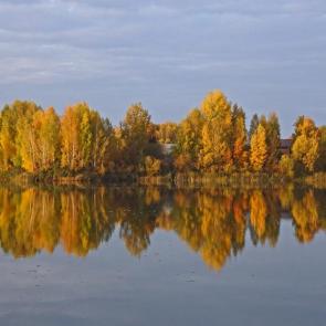 ����: ����� ����� � �����.