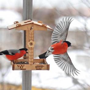 ����: �����. 