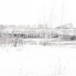 ���� ��������: 