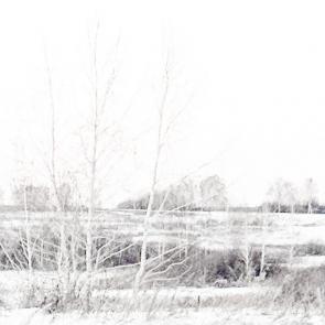 ���� ��������: 