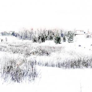 ���� ��������: 