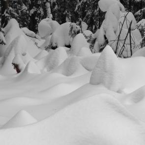 ���� ��������: ������� ���������