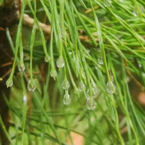 ����: ��������� ����� �����