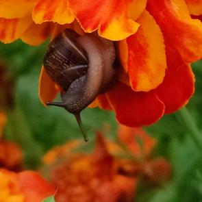 ����: ��� ��������� � ������ �������)