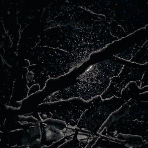 ����: ����