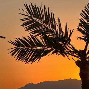 ����: �����