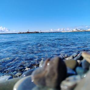 ���� ��������: 