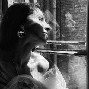 ����: ���������